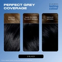 Clairol Lasting Colour Permanent Colour Hair Dye 2 Black 1 Pack image 3