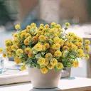 4Pcs 13.77in/35cm
Artificial Billy Ball Flower Man Fake Plants Living Room Decoration Ornaments Desktop Fake Flowers(yellow) image 0