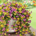 4Pcs 29.5in/75cm
Artificial Faux Hanging Flowers Plants for Outdoor Decor Outside Fake Mums Violets with Eucalyptus Realistic Daisy Trailing Vines for Yard Balcony Porch Decor(yellow&purple) image 4