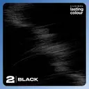 Clairol Lasting Colour Permanent Colour Hair Dye 2 Black 1 Pack image 5