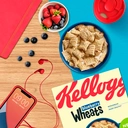 Kellogg's Blueberry Wheats 500g image 3