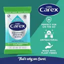 Carex Cleansing Hygiene Wipes Antibacterial Biodegradable Fibre 15Wipes image 3