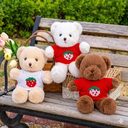 Peluche Ours avec t-shirt fraise modèle aléatoire - 30 cm image 2