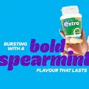 Extra Spearmint Bottle 46 Pieces image 4
