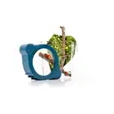 My Living World Bug Safari image 5