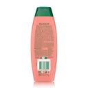 Palmolive Naturals 2 in 1 Hydra Balance Shampoo 350ml image 1