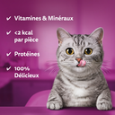 WHISKAS Temptations Friandise pour Chat Saumon 60 g image 5