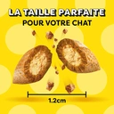 CATISFACTIONS Friandises Croquantes pour Chat Saveur Herbe à Chat (Sachet de 60g) image 2