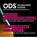 Garnier Olia No Ammonia Permanent Hair Dye 2.0 Black Diamond 1 Colourant Cream 1 Developer Cream 1 Conditioner image 2