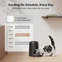 Petlibro Air Automatic Pet Feeder - 2L， Black， with Timer， with 180-Day Battery Life， Anti-Mistake Touch Design & Up to 6 Meals per Day， Ideal for Small/Medium Cat & Dog image 4