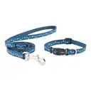 Ancol Puppy Collar and Lead Set Stars Blue image 0