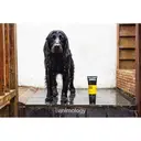 Animology Fox Poo Shampoo 250ml image 5