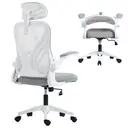 HOMCOM Foldable Desk Chair, Mesh Office Chair with Folding Backrest, 2D Headrest, Flip-up Armrest, Lumbar Support, Swivel Wheels,Space Saving Chair for Home Office, Light Grey image 0