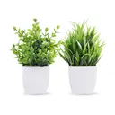 3Pcs 6.69in/17cm
Artificial Plant Flowerpot Artificial Plastic Eucalyptus Plant Wheat Grass Shrub Plant Indoor Desk Coffee Table Bathroom Bedroom Home Decoration image 3