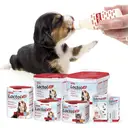 Beaphar Lactol Puppy Milk 250g image 4