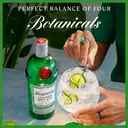 Tanqueray London Dry Gin Vol 70cl Bottle image 2