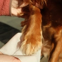 Beco Bamboo Travel Wipes Coconut Scented image 3