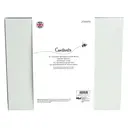 Bee and Bumble Watercolour Art Box Set image 1