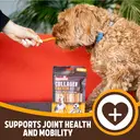 Rosewood Collagen Chicken Rolls for Small Dogs, 70g image 2