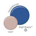 CROWN Matt Emulsion Bright Bluejay 40ML image 5