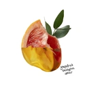 The Lab Co. Luxury Scented Candle | Ceramic Jar | 45hrs Burn Time | Energising Fragrance with Grapefruit, Amber and Eucalyptus | 100% Vegan Soy Wax | 280g wax weight image 5