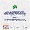 Regina Thirst Pockets Kitchen Roll, 2-Ply, 4 Rolls image 3