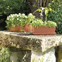 DEROMA Day R pot de fleurs en céramique, 50 cm image 3