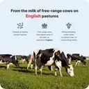 Vilgain Grass Fed Whey Protein Vanilla Protein Nutrition Powder Flavour - 1000g image 5