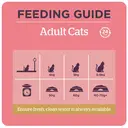 Burgess Adult Cat Chicken and Duck 1.5kg image 6