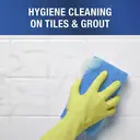 Flash Professional MultiPurpose Cleaner With Bleach 750ml image 3