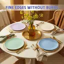 Home Use Compact & Portable 10-Inch Flat Dinner Plates, Set of 4, Plastic Material image 2