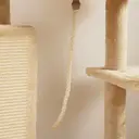 PawHut Cat Tree for Indoor Kittens, 132cm Cat Tower with Scratching Posts and Pad, Bed, House, Jumping Platform, Grooming Brush, Toy Balls, Anti-Tip Kit, Cat Climbing Frame, Beige image 3