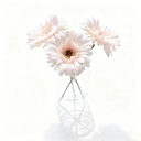 3Pcs 9.05in/23cm
Artificial Silk Gerbera Flowers Wedding Home verandahs Table Decor Fake Daisy Chrysanthemum Party Home Decoration(pink) image 7