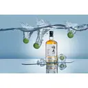 Meijian Green Plum Liqueur Original 750ml image 2