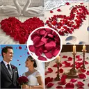 Yuejia Lot de 200 pétales de roses artificielles en soie - Rouge image 3