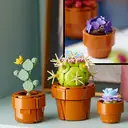 LEGO Botanicals 10329 Les plantes miniatures image 4