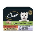 Cesar Garden Terrine Dog Food Tray Mixed in Loaf 8x150g image 1