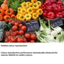 Sony Alpha 7 III Full-Frame Mirrorless Camera Body Only image 6