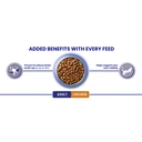 Purina ONE Adult Cat Food with Chicken & Whole Grains 3kg image 2