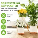 MADLAND Lot de 3 pots de fleurs auto-arrosants avec soucoupe beige - Diamètre 16,5 cm image 1