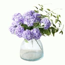 1Pc 13in/33cm
Artificial 7-Head Hydrangea Silk Flower Silk Flower Living Room Bedroom Wedding Flower Arrangement Artificial Flower Decoration(purple) image 9