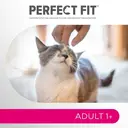 PERFECT FIT™ Adult Trockenfutter für erwachsene Katzen ab 1 Jahr - Lachs, 750g (6 Beutel) image 8