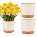 MADLANDFlower pot set: 3-piece set with a diameter of 16.5cm, self-priming beige flower pot, equipped with a tray image 0