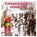 Raid Ant Cockroach Insect Killer Aerosol Spray 300ml image 3