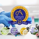 Absolute Aromas Eucalyptus Globulus 10ml image 4