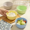 Simple Design Small Dinner Bowl & Plate 4-Piece Set, Plastic, Compact & Portable image 1