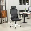 Vinsetto Ergonomic Office Chair, High Back Mesh Computer Desk Chair with Adjustable Arms, Headrest and Lumbar Support, Tilt Function for Home Office, Black image 0