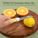 YUPINK Fruit Knife  ChromaVibe Series 1pcs image 2