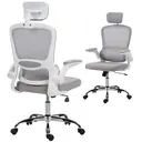 HOMCOM Ergonomic Office Chair, High Back Mesh Computer Desk Chair with Adjustable Headrest and Lumbar Support, Flip-up Armrests for Home Office, Grey image 0