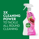 Dettol MultiPurpose Antibacterial  Cleaning Spray, Pomegranate, 1l image 4